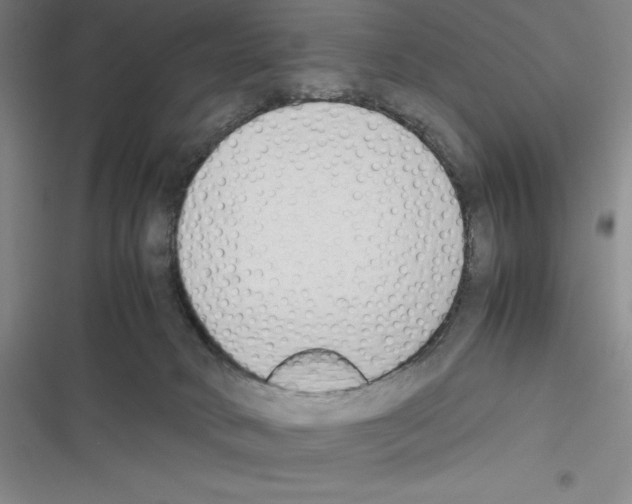 X0000116270034201001111024