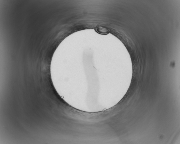 X0000116270035201001111024