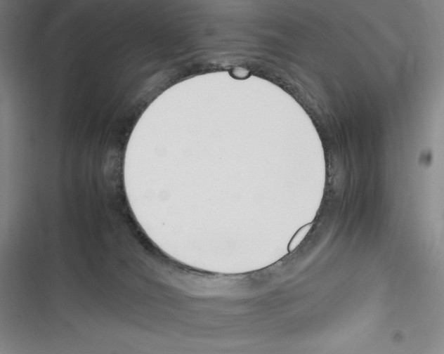 X0000116270036201001111023