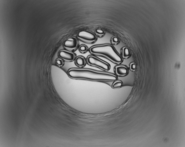 X0000116270037201001111023