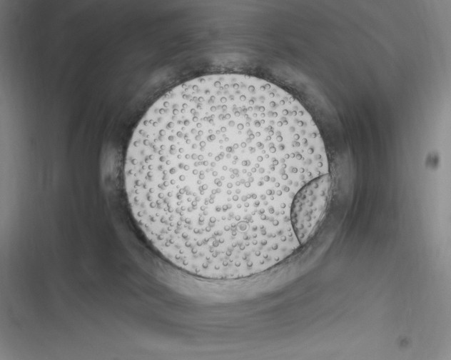 X0000116270038201001111023