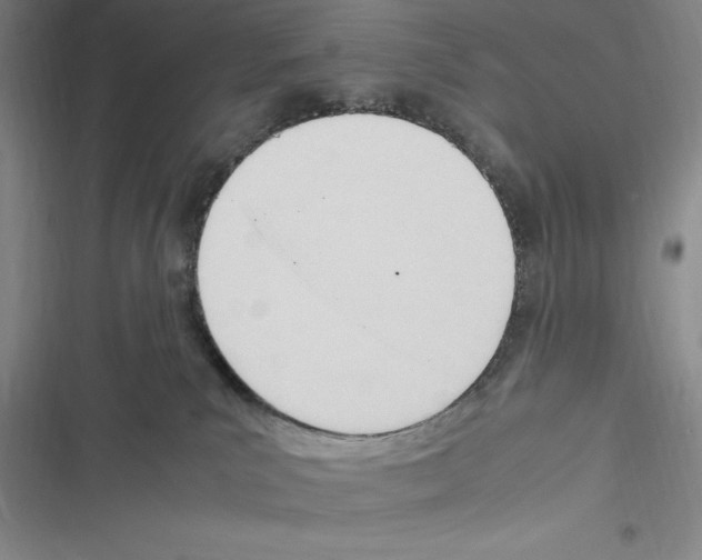 X0000116270039201001111023