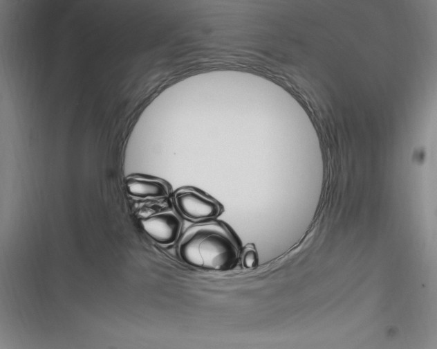 X0000116270041201001111023