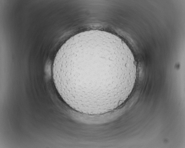 X0000116270042201001111023