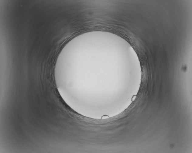 X0000116270043201001111023