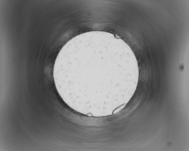 X0000116270044201001111023