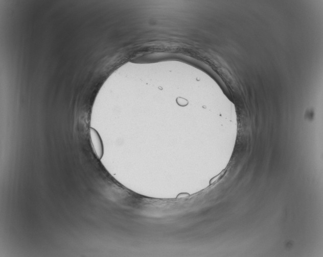 X0000116270045201001111023
