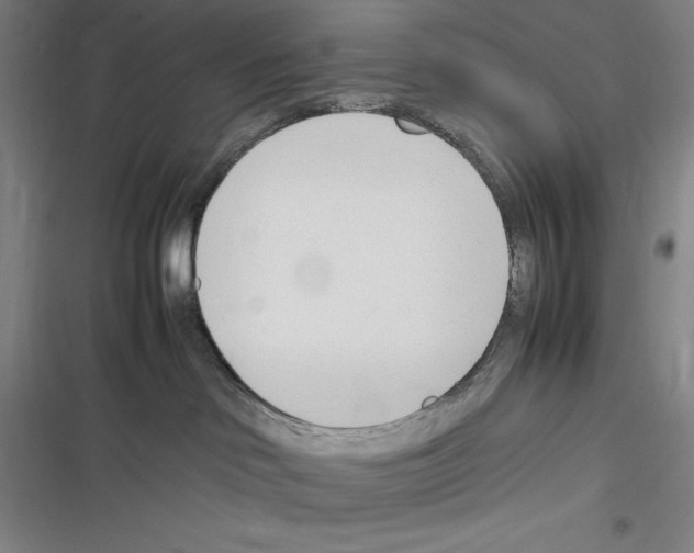 X0000116270046201001111023