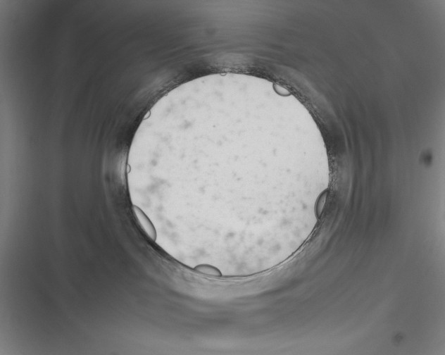 X0000116270047201001111023