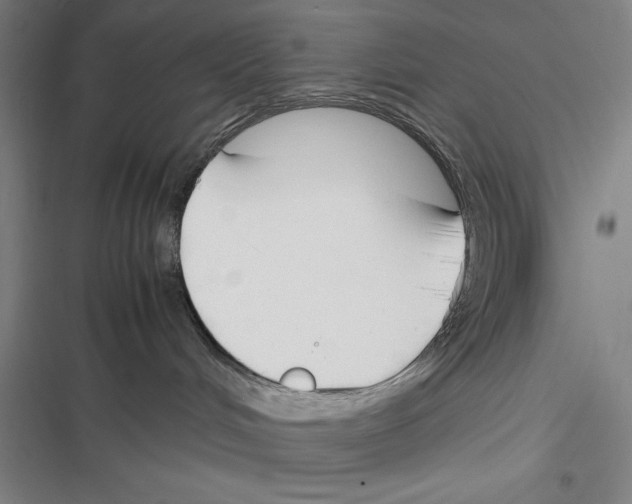 X0000116270048201001111023