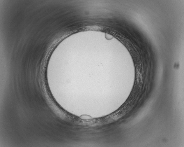 X0000116270049201001111023