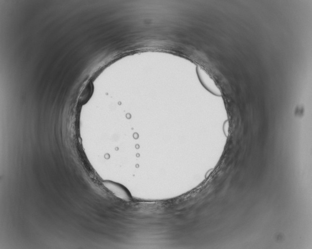 X0000116270050201001111023