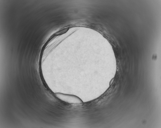 X0000116270052201001111023