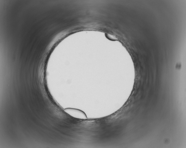 X0000116270054201001111023