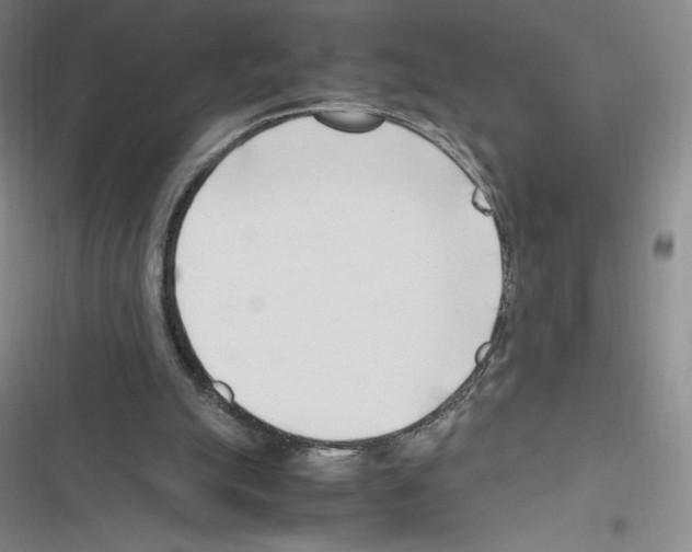 X0000116270055201001111023