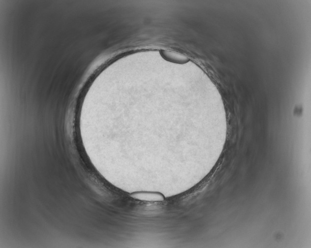 X0000116270056201001111023