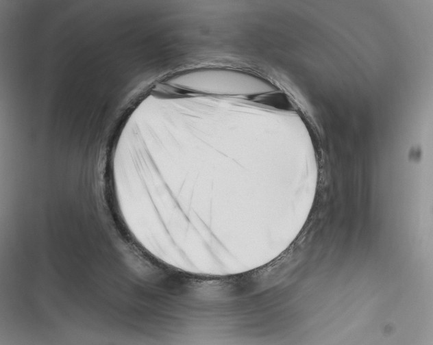 X0000116270058201001111023