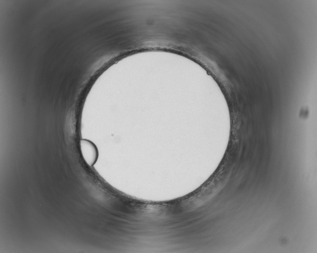 X0000116270060201001111023