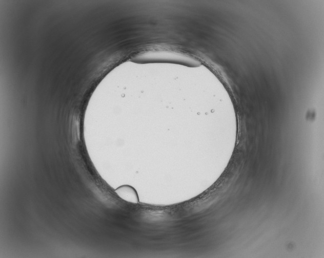 X0000116270061201001111023