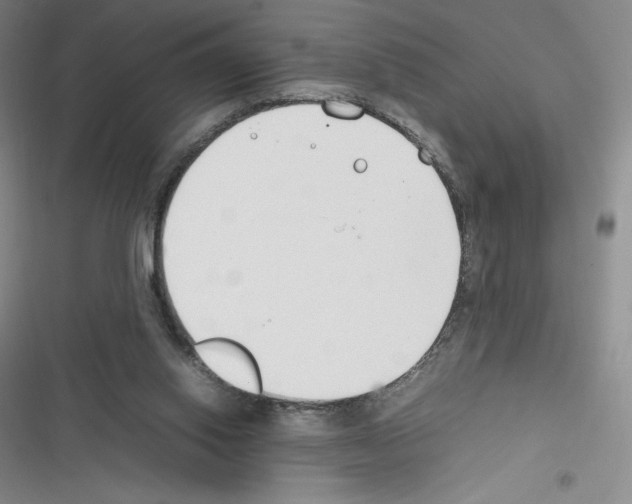 X0000116270062201001111023