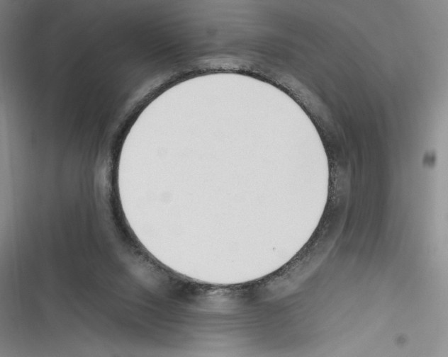 X0000116270064201001111023