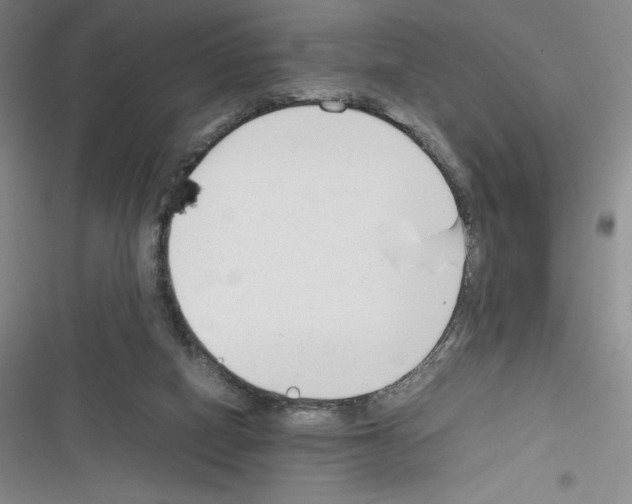 X0000116270066201001111023