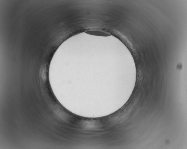 X0000116270069201001111023