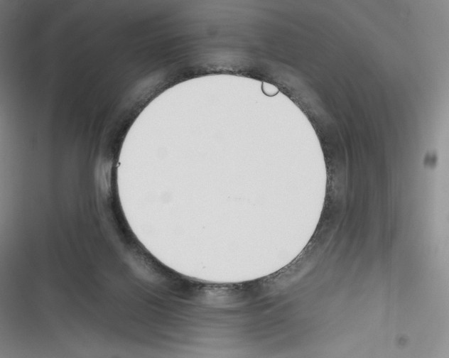 X0000116270070201001111023