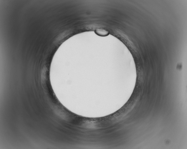 X0000116270071201001111023