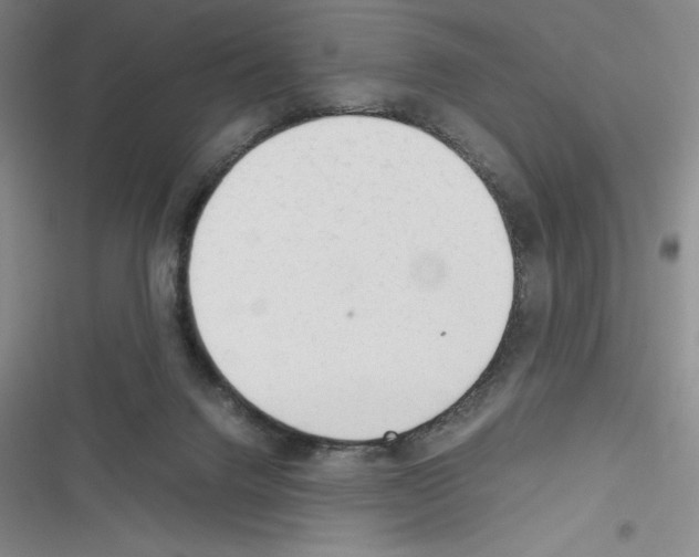 X0000116270072201001111023