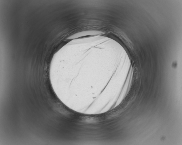 X0000116270073201001111023