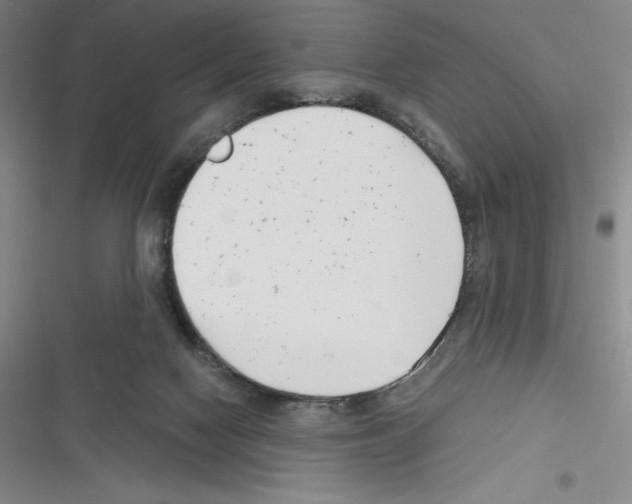 X0000116270074201001111023