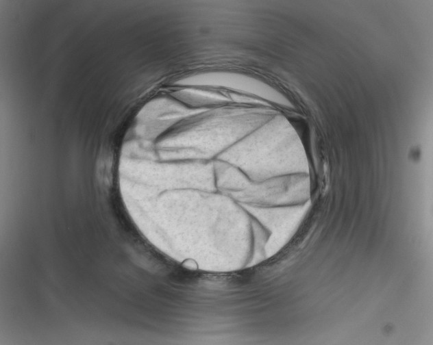 X0000116270076201001111023