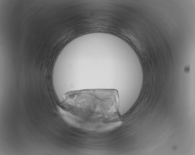 X0000116270077201001111023