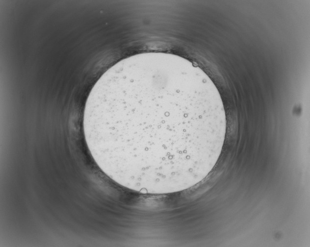 X0000116270078201001111023