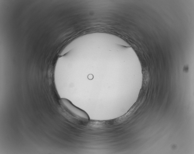 X0000116270082201001111023
