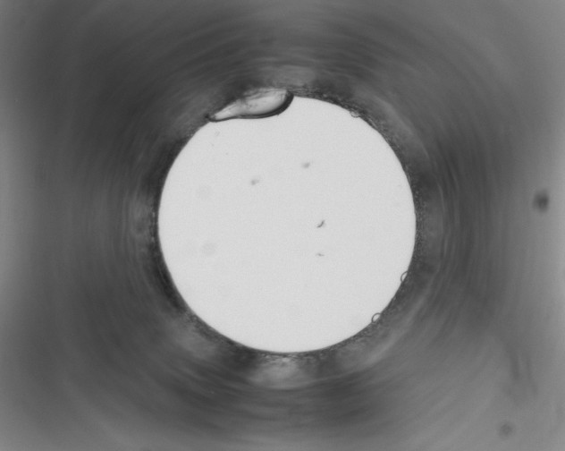 X0000116270083201001111023