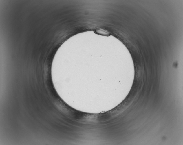 X0000116270084201001111023