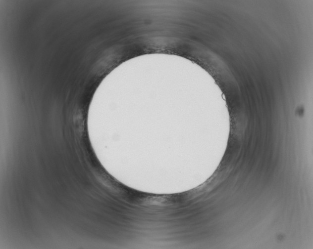 X0000116270086201001111023