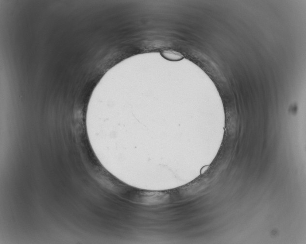 X0000116270087201001111023