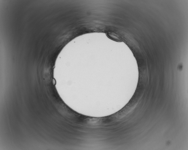 X0000116270088201001111023