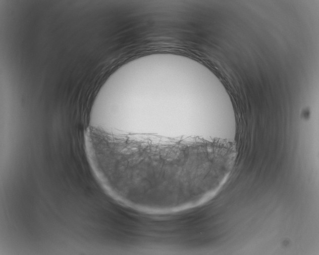 X0000116270089201001111023