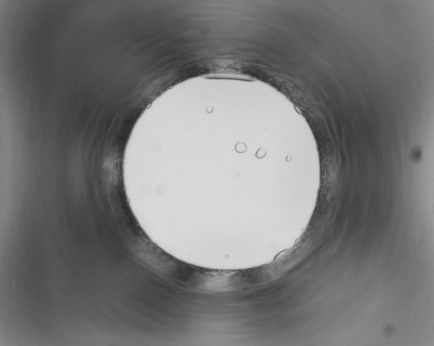 X0000116270090201001111023