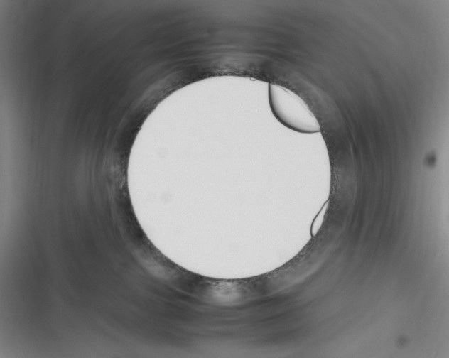X0000116270091201001111023