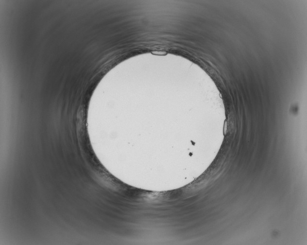 X0000116270092201001111023