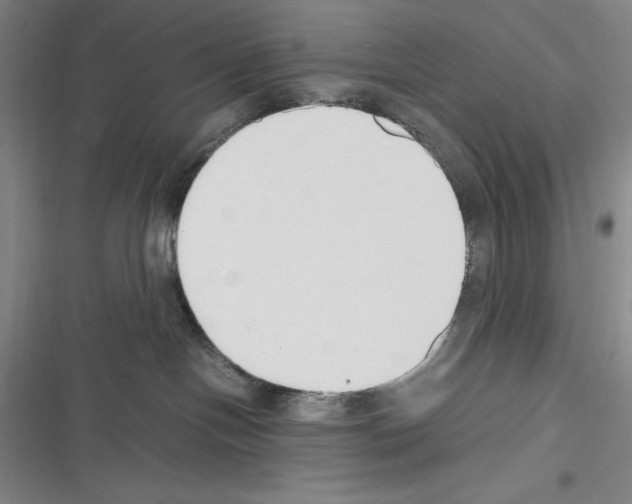 X0000116270094201001111023