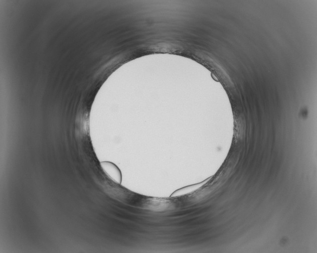 X0000116270095201001111023