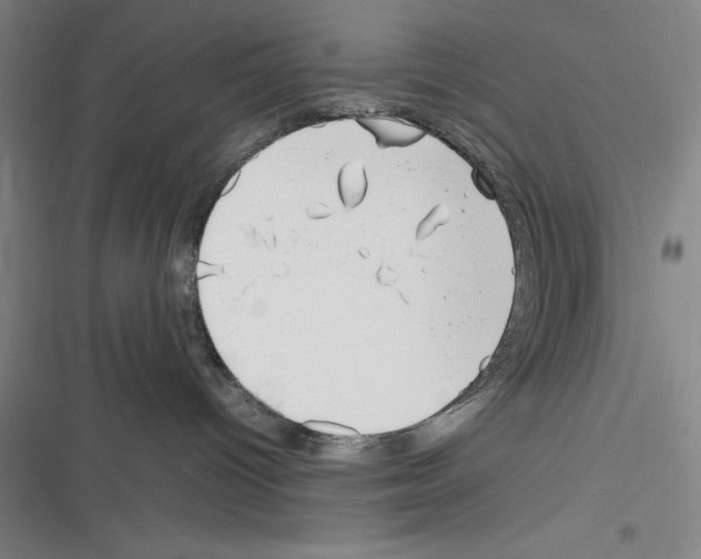 X0000116270096201001111023