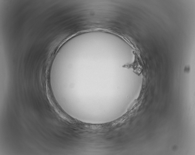 X0000116270097201001111023