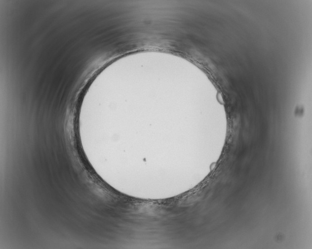 X0000116270098201001111023